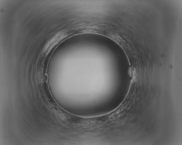 X0000062880291200601201827