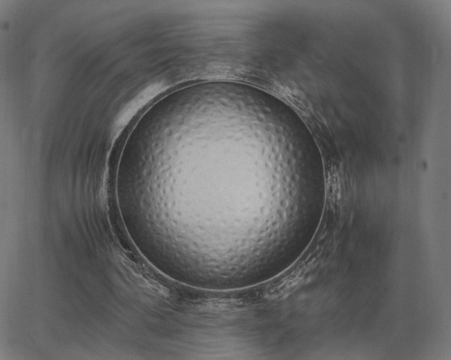 X0000062880292200601201827