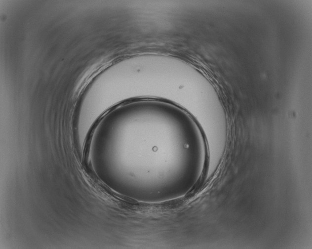 X0000062880293200601201827