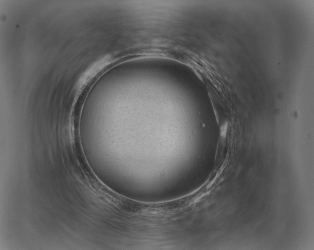 X0000062880294200601201827