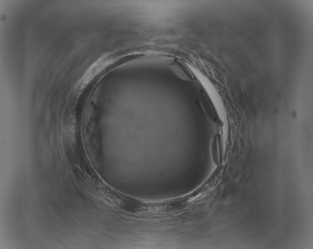 X0000062880295200601201827