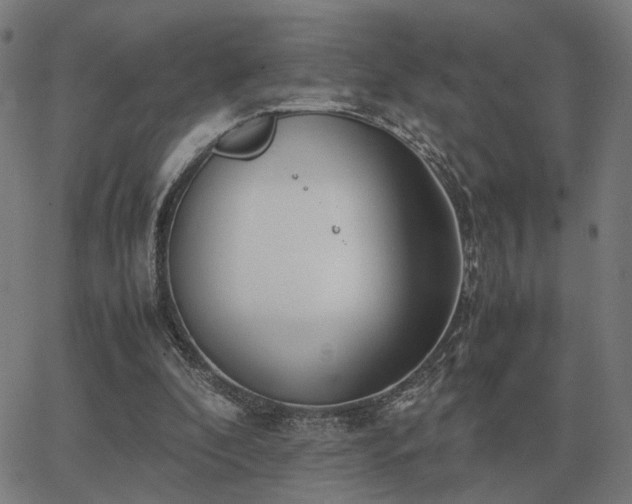 X0000062880296200601201827