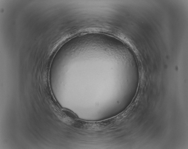 X0000062880297200601201827