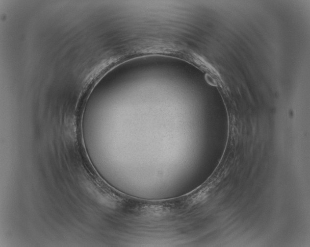 X0000062880298200601201827