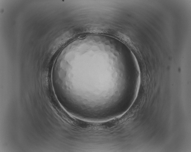 X0000062880299200601201827