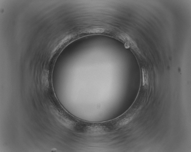 X0000062880300200601201827