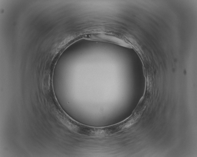 X0000062880301200601201827