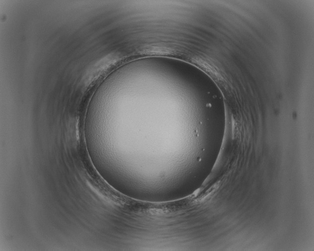 X0000062880302200601201827