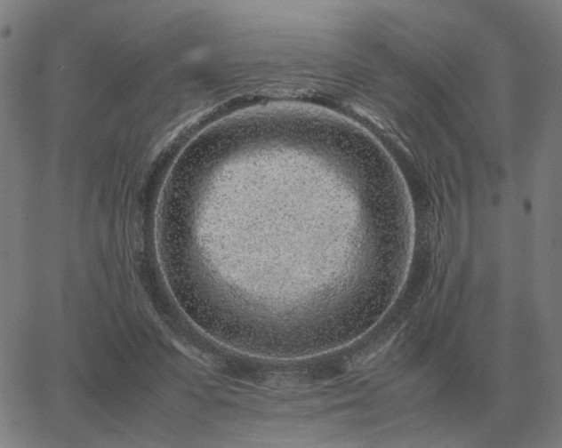 X0000062880303200601201827