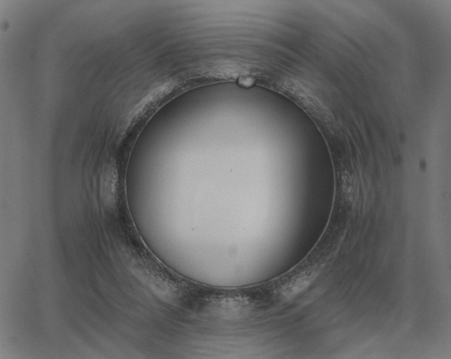 X0000062880304200601201827