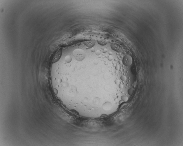 X0000062880305200601201827