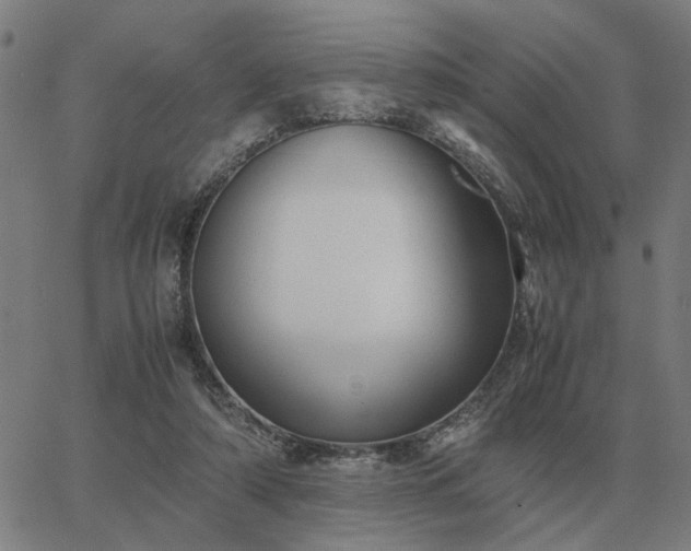 X0000062880306200601201827