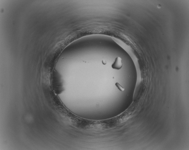 X0000062880307200601201826