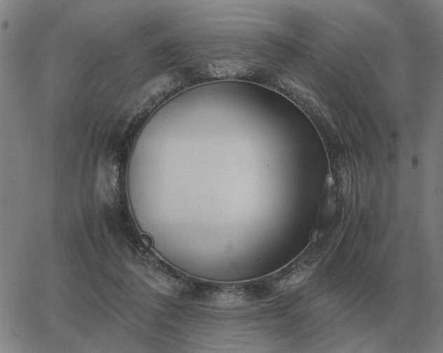 X0000062880308200601201826