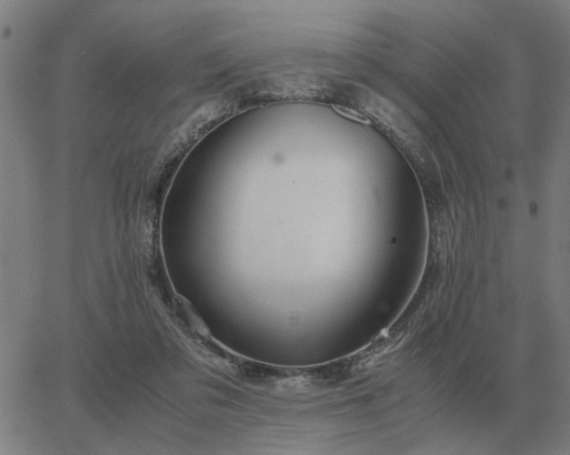 X0000062880309200601201826