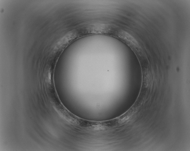 X0000062880310200601201826