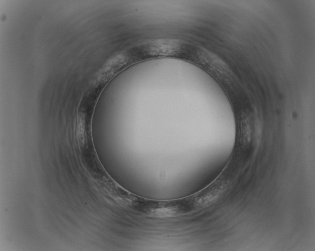 X0000062880312200601201826