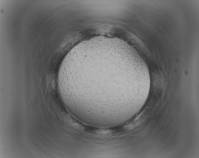 X0000062880313200601201826