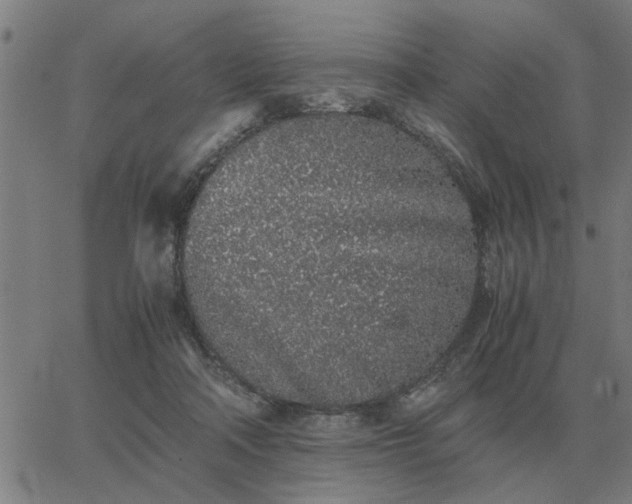 X0000062880314200601201826