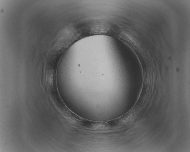 X0000062880315200601201826