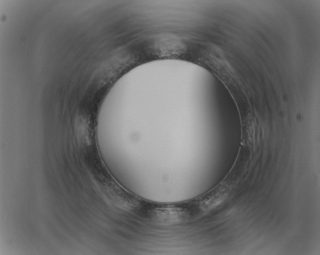 X0000062880316200601201826