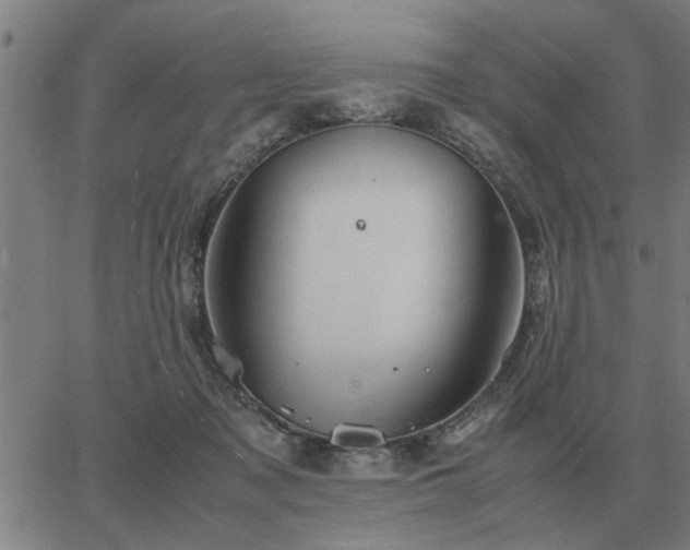 X0000062880317200601201826