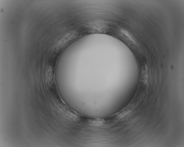 X0000062880318200601201826