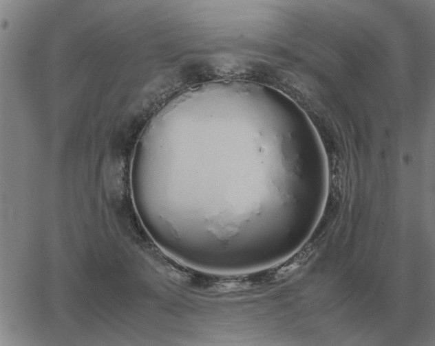 X0000062880319200601201826