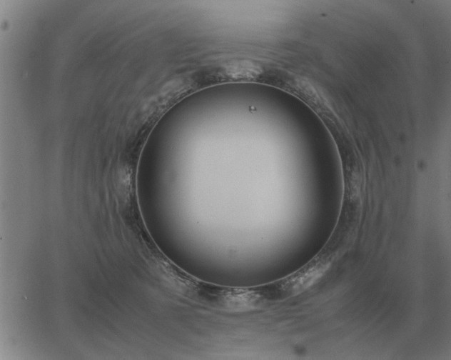 X0000062880321200601201826