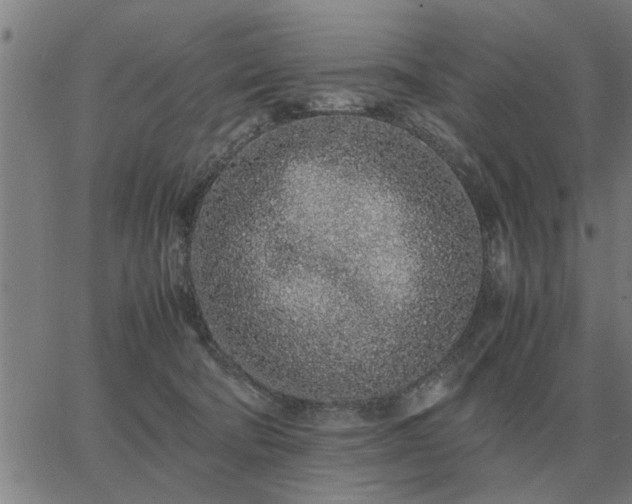 X0000062880322200601201826