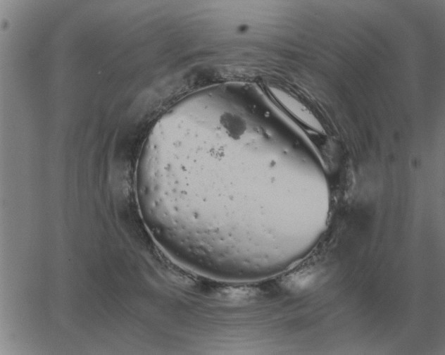 X0000062880323200601201826