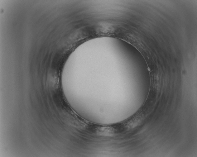 X0000062880324200601201826