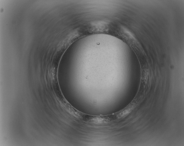 X0000062880326200601201826