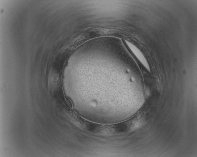 X0000062880327200601201826