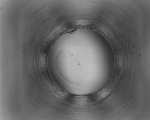 X0000062880328200601201826