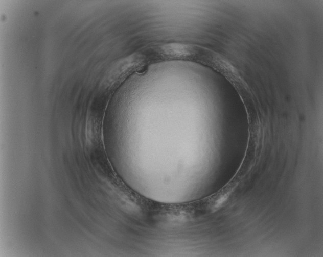 X0000062880330200601201826