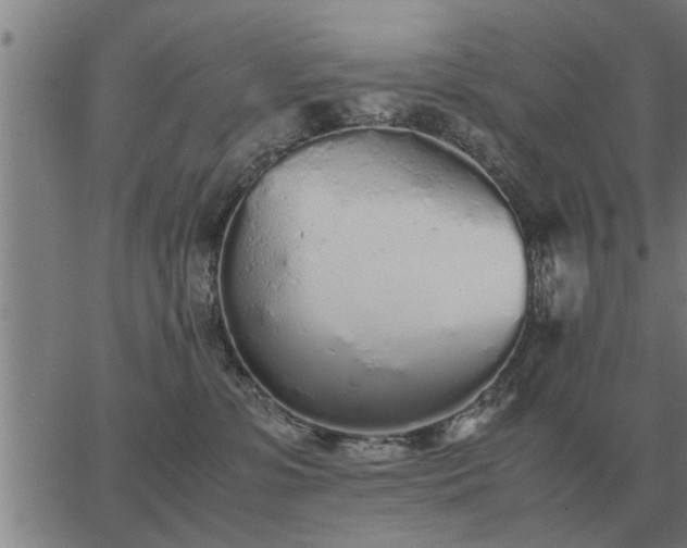 X0000062880331200601201826