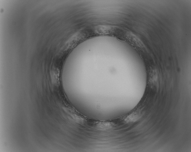 X0000062880332200601201826