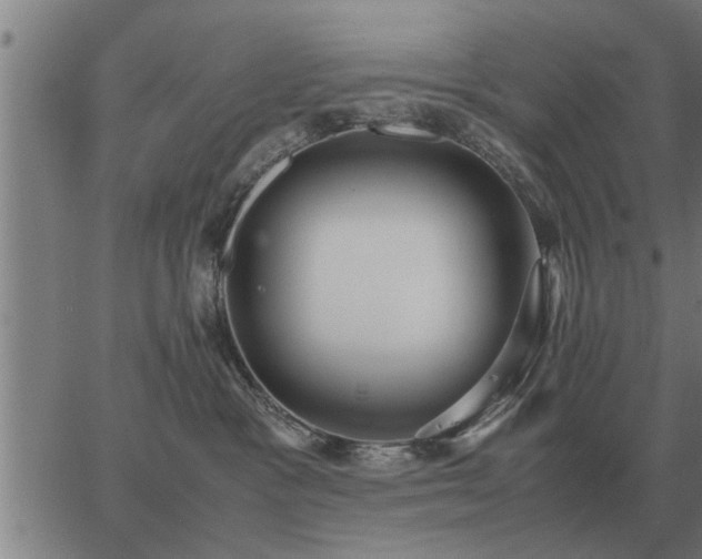 X0000062880333200601201826