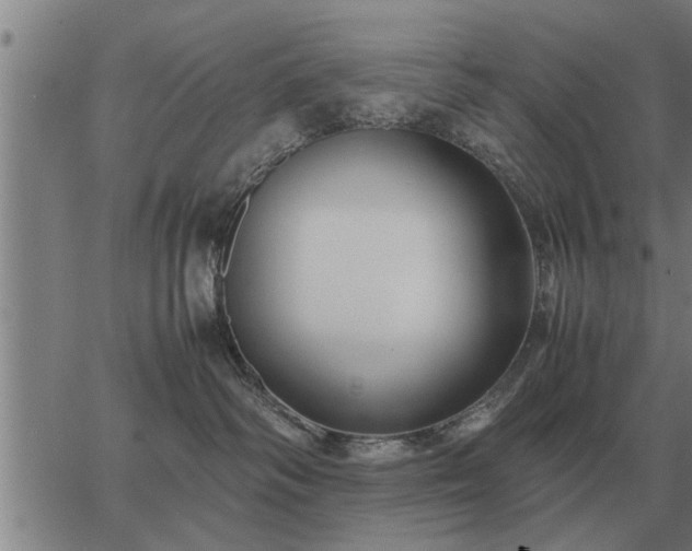 X0000062880334200601201826