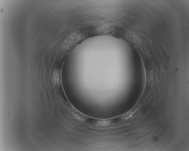 X0000062880335200601201826