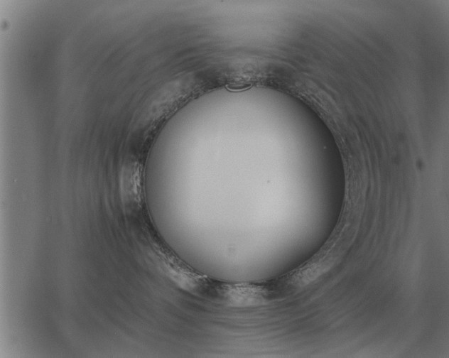 X0000062880336200601201826