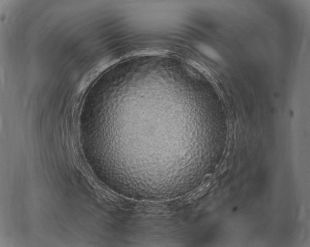 X0000062880337200601201825