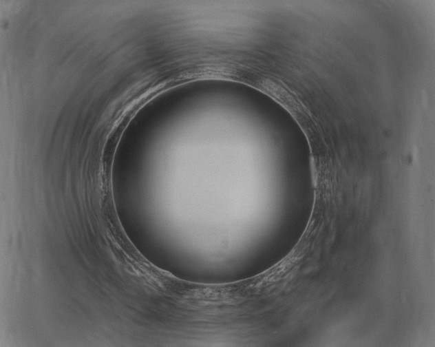 X0000062880338200601201825