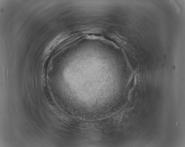 X0000062880339200601201825