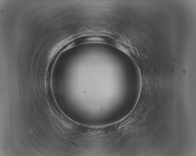 X0000062880340200601201825