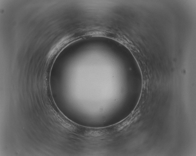 X0000062880341200601201825