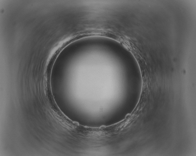 X0000062880342200601201825