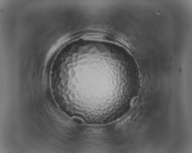 X0000062880343200601201825