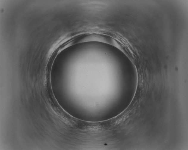 X0000062880344200601201825